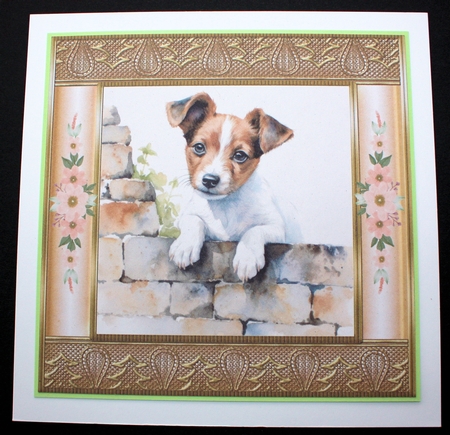 The nosy Jack Russell terrier card front 2 by Marion Kimberley-Scott
