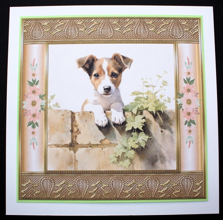 The nosy Jack Russell terrier card front 4 by Marion Kimberley-Scott