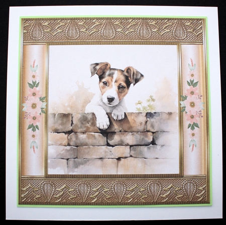 The nosy Jack Russell terrier card front 5 by Marion Kimberley-Scott