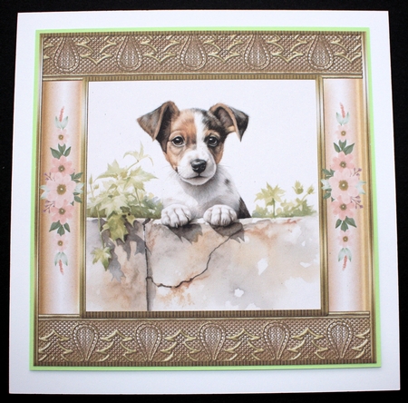 The nosy Jack Russell terrier card front 6 by Marion Kimberley-Scott