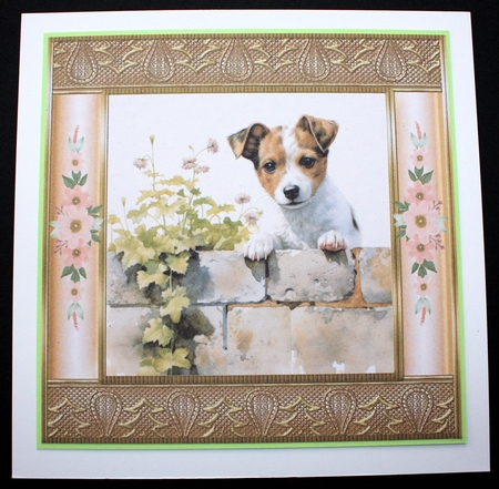 The nosy Jack Russell terrier card front 7 by Marion Kimberley-Scott