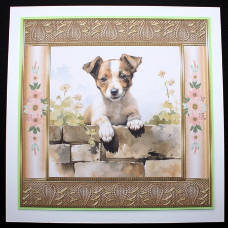The nosy Jack Russell terrier card front 8 by Marion Kimberley-Scott