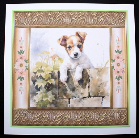 The nosy Jack Russell terrier card front 9 by Marion Kimberley-Scott