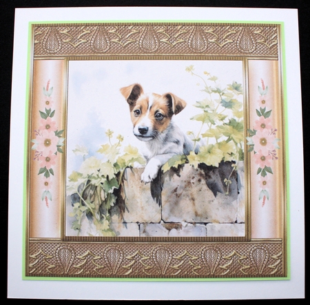 The nosy Jack Russell terrier card front 10 by Marion Kimberley-Scott