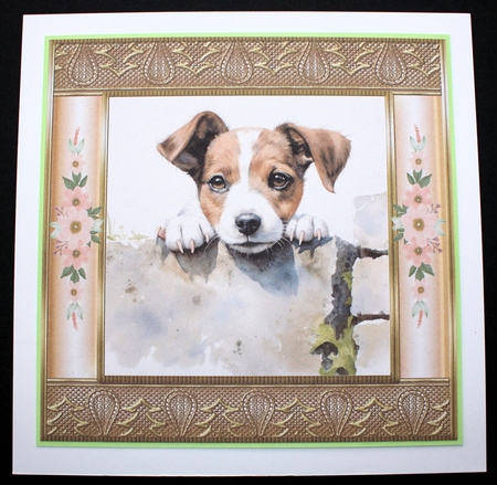 The nosy Jack Russell terrier card front 11 by Marion Kimberley-Scott