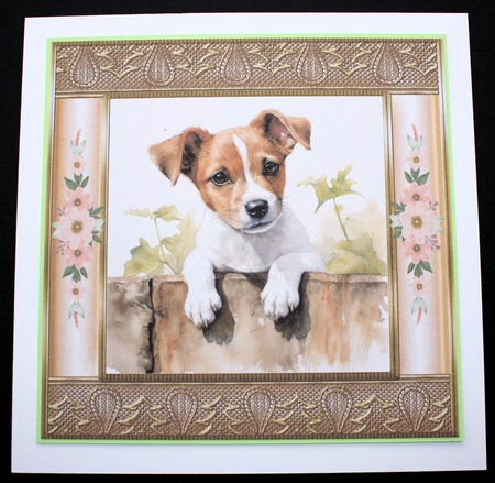 The nosy Jack Russell terrier card front 12 by Marion Kimberley-Scott