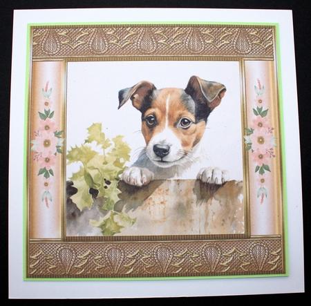 The nosy Jack Russell terrier card front 13 by Marion Kimberley-Scott