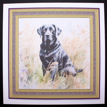 Floral black Labrador card front 1 by Marion Kimberley-Scott