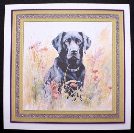 Floral black Labrador card front 2 by Marion Kimberley-Scott