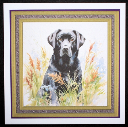 Floral black Labrador card front 3 by Marion Kimberley-Scott