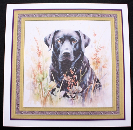 Floral black Labrador card front 4 by Marion Kimberley-Scott