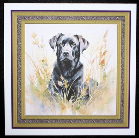 Floral black Labrador card front 5 by Marion Kimberley-Scott