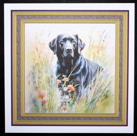 Floral black Labrador card front 6 by Marion Kimberley-Scott