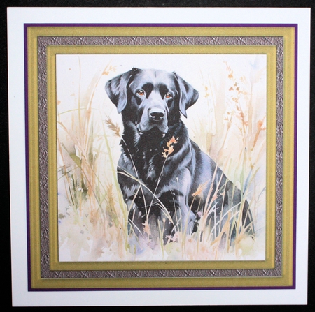Floral black Labrador card front 7 by Marion Kimberley-Scott