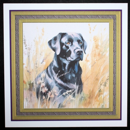 Floral black Labrador card front 8 by Marion Kimberley-Scott