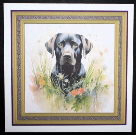 Floral black Labrador card front 10 by Marion Kimberley-Scott