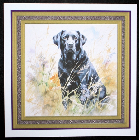 Floral black Labrador card front 11 by Marion Kimberley-Scott