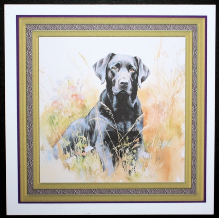 Floral black Labrador card front 12 by Marion Kimberley-Scott