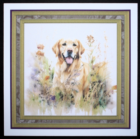 Yellow floral Labrador card front 1 by Marion Kimberley-Scott