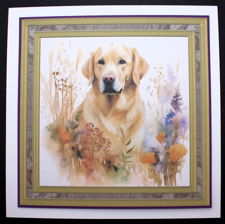 Yellow floral Labrador card front 2 by Marion Kimberley-Scott