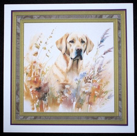 Yellow floral Labrador card front 4 by Marion Kimberley-Scott