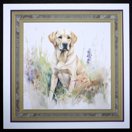 Yellow floral Labrador card front 5 by Marion Kimberley-Scott