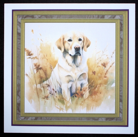 Yellow floral Labrador card front 6 by Marion Kimberley-Scott