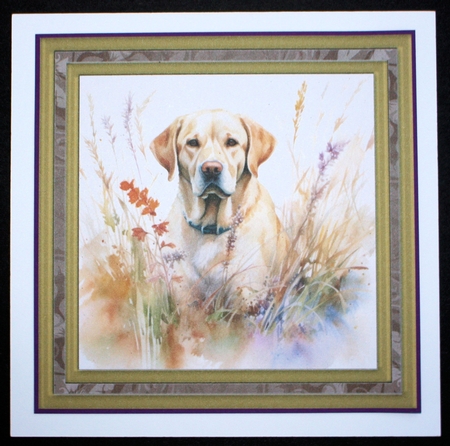 Yellow floral Labrador card front 7 by Marion Kimberley-Scott