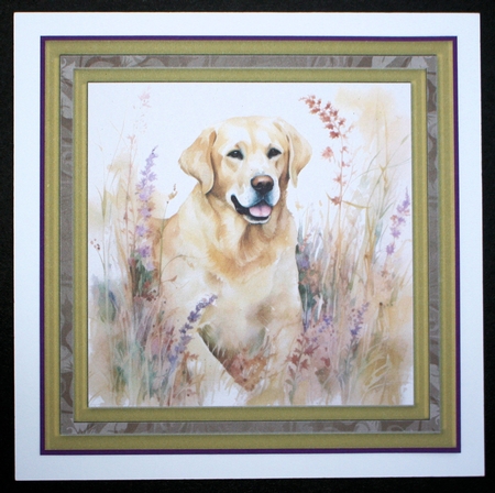 Yellow floral Labrador card front 8 by Marion Kimberley-Scott
