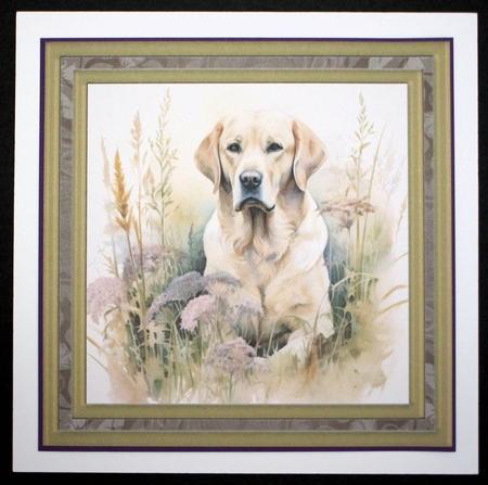Yellow floral Labrador card front 9 by Marion Kimberley-Scott