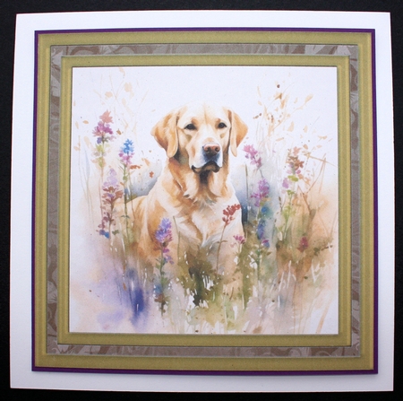 Yellow floral Labrador card front 10 by Marion Kimberley-Scott