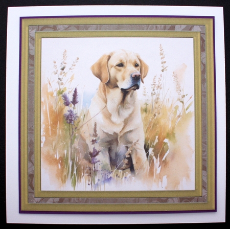 Yellow floral Labrador card front 11 by Marion Kimberley-Scott