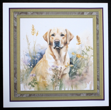 Yellow floral Labrador card front 12 by Marion Kimberley-Scott