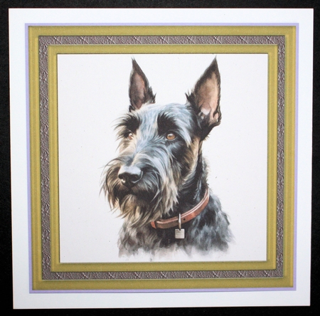 Gold framed Scottish terrier card front 2 by Marion Kimberley-Scott