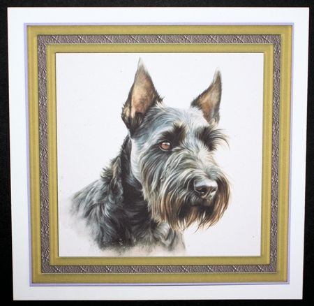 Gold framed Scottish terrier card front 3 by Marion Kimberley-Scott