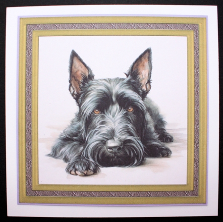 Gold framed Scottish terrier card front 4 by Marion Kimberley-Scott