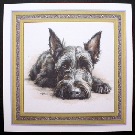 Gold framed Scottish terrier card front 5 by Marion Kimberley-Scott