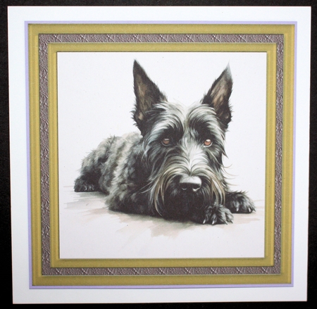 Gold framed Scottish terrier card front 6 by Marion Kimberley-Scott
