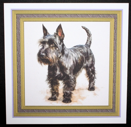 Gold framed Scottish terrier card front 8 by Marion Kimberley-Scott