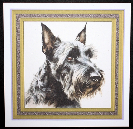 Gold framed Scottish terrier card front 10 by Marion Kimberley-Scott