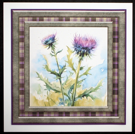 Tartan thistle card front 1 by Marion Kimberley-Scott