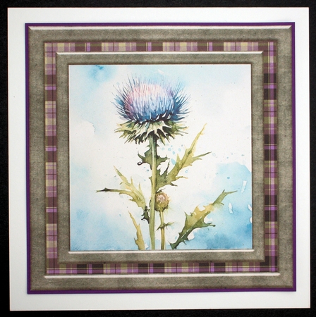 Tartan thistle card front 2 by Marion Kimberley-Scott
