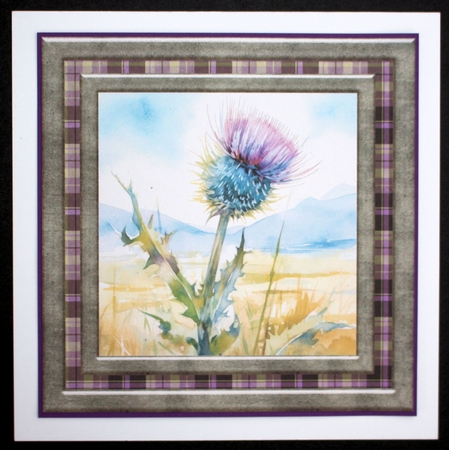 Tartan thistle card front 3 by Marion Kimberley-Scott