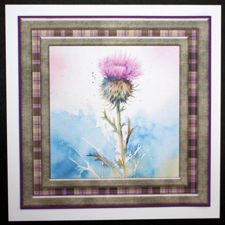 Tartan thistle card front 4 by Marion Kimberley-Scott