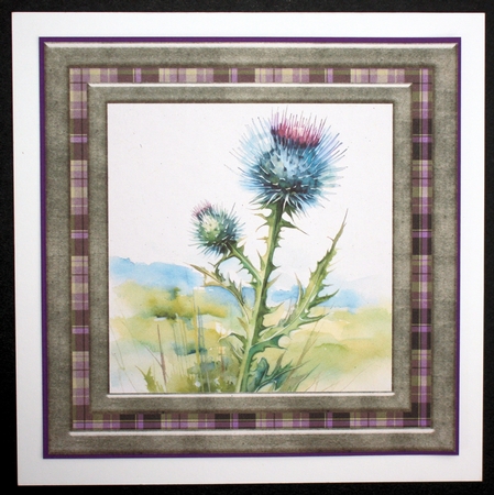 Tartan thistle card front 6 by Marion Kimberley-Scott