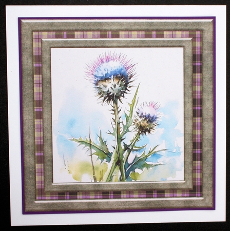Tartan thistle card front 8 by Marion Kimberley-Scott