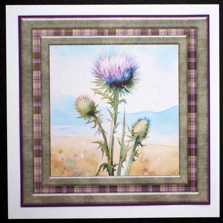 Tartan thistle card front 10 by Marion Kimberley-Scott