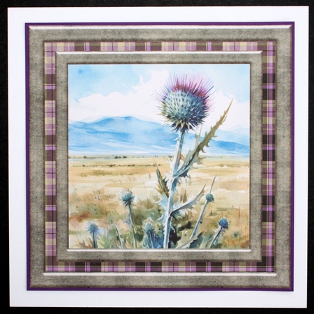 Tartan thistle card front 11 by Marion Kimberley-Scott