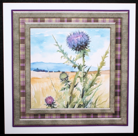 Tartan thistle card front 12 by Marion Kimberley-Scott