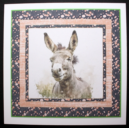 The happy donkey card front 1 by Marion Kimberley-Scott